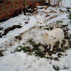 CCF_000514_2005_Winter