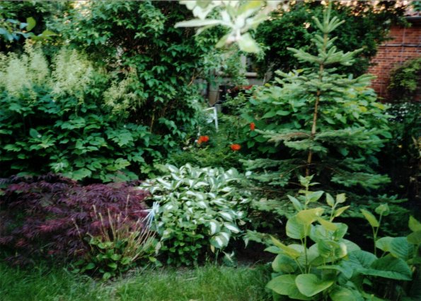 CCF_000365 Omas Garten 2006