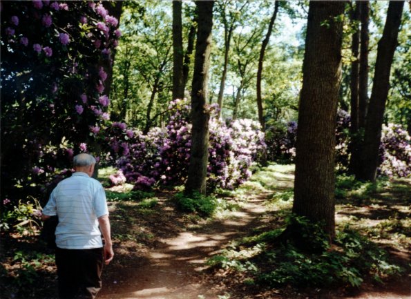 CCF_000372 Hasenwinkel 2006