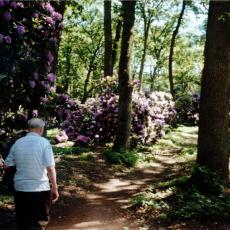 CCF_000372 Hasenwinkel 2006