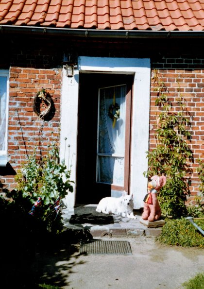 CCF_000391_Wuff_EndlichRuhe_Sommer2006