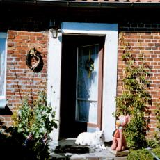 CCF_000391_Wuff_EndlichRuhe_Sommer2006