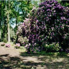 CCF_000050_Hasenwinkel_2006