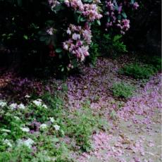 CCF_000053_Hasenwinkel_2007