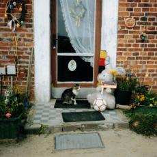 CCF_000354 Mai2006 Lübow