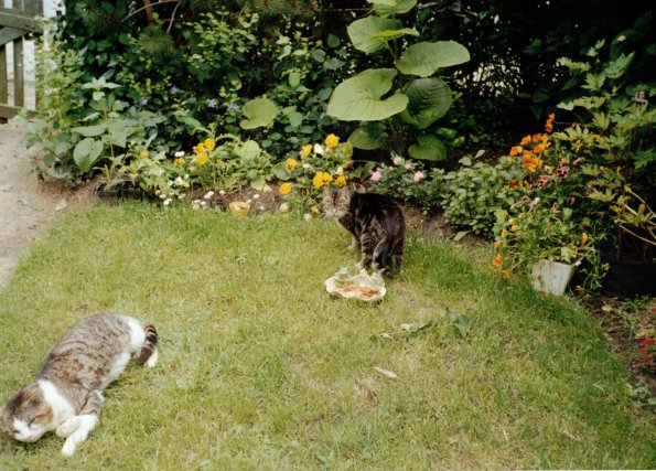 CCF_000367 Omas Garten 2006