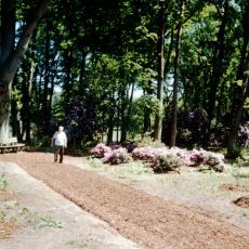 CCF_000370 Hasenwinkel 2006