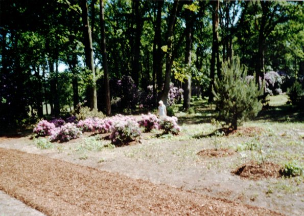 CCF_000371 Hasenwinkel 2006