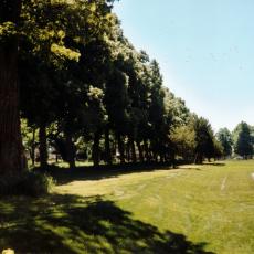 CCF_000375 Hasenwinkel 2006