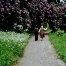 CCF_000058_hasenwinkel_2007