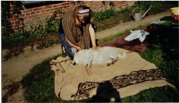 CCF_000165_2007 Whity baden