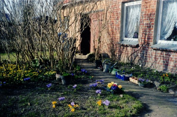 CCF_000168_Lübow2009 Frühjahr