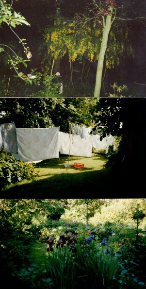 CCF_000378_Sommer_Lübow_2008_01