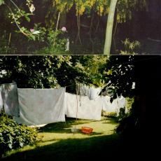 CCF_000378_Sommer_Lübow_2008_01