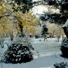 CCF_000382_März_Lübow_2008_Cover007