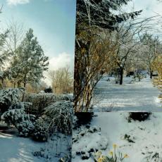 CCF_000384_März_Lübow_2008_02