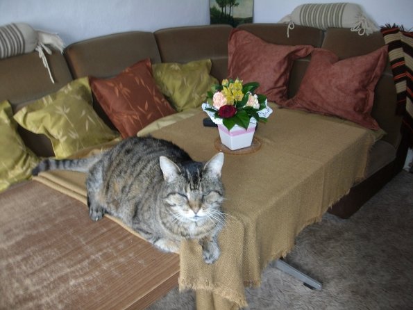 Digital Camera P42001