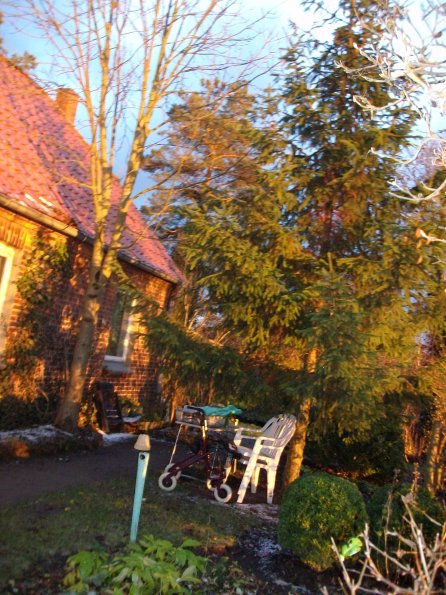 Digital Camera P42001