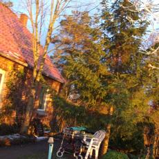 Digital Camera P42001