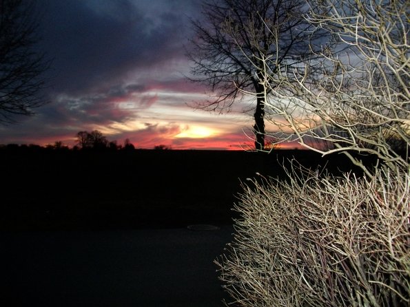 Digital Camera P42001