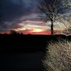 Digital Camera P42001