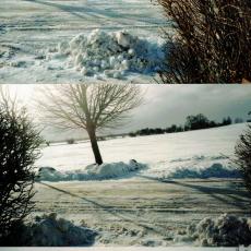 CCF_000359_WinterinLübow2010_2