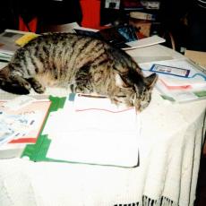 CCF_000360_Winter2010Lübow_03