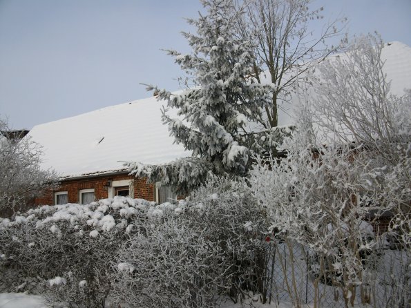 Digital Camera P42001