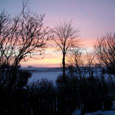 Digital Camera P42001