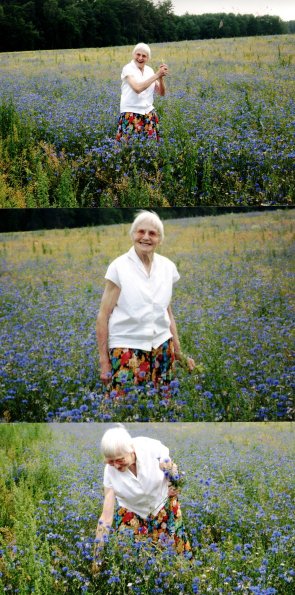 CCF_000371_Blumenpflücken_NeuJabel_Heidhof2011