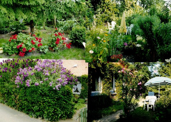 CCF_000375_Sommer_Lübow2011