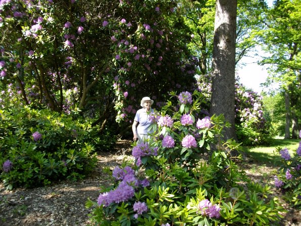 Digital Camera P42001