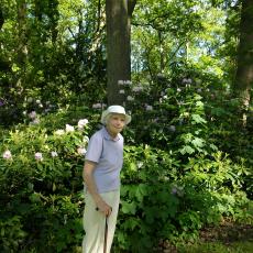 Digital Camera P42001