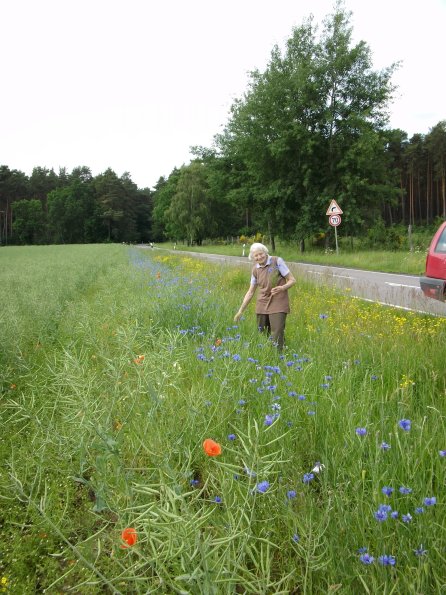 Digital Camera P42001