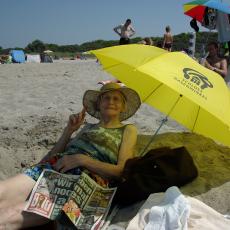 Digital Camera P42001