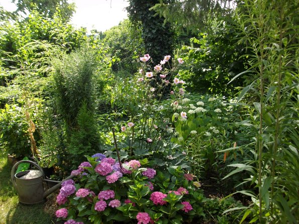 Digital Camera P42001