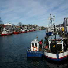 Digital Camera P42001