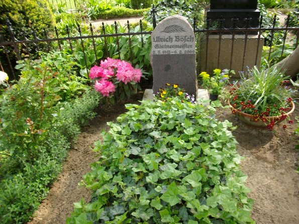 Digital Camera P42001