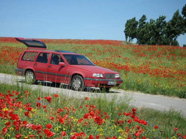 Digital Camera P42001