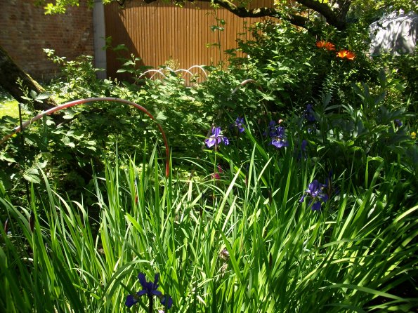 Digital Camera P42001