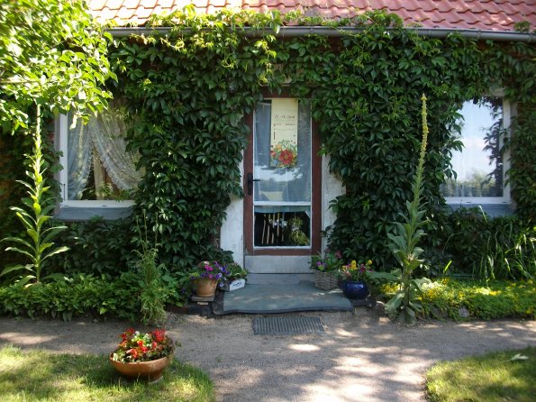 Digital Camera P42001