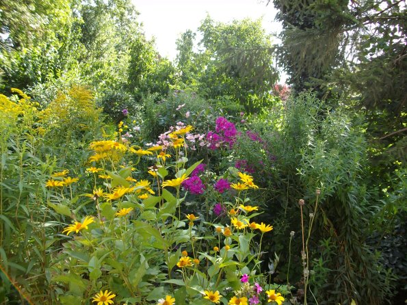 Digital Camera P42001