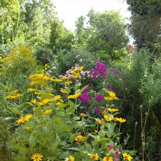 Digital Camera P42001