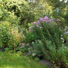 Digital Camera P42001