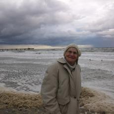 Digital Camera P42001