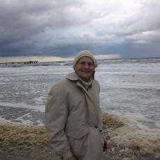 Digital Camera P42001