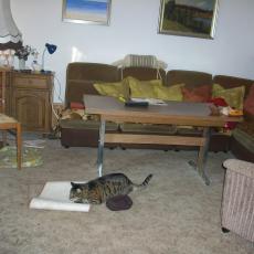 Digital Camera P42001