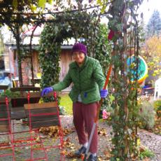 November2015_birkenwerder01