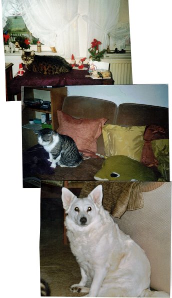 CCF_000224_Tiere_2008