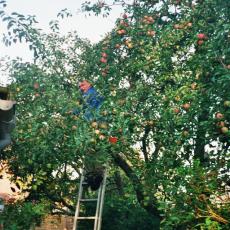 KlausMüggenburg_Tante Ilse bei_OpaUlli